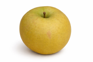 pomme Belchard Chanteclerc