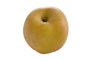 pomme Reinette grise du Canada